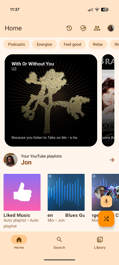 albums and suggestions in metrolist app