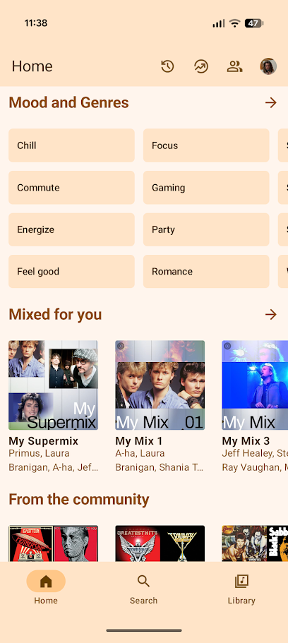 music suggestions in metrolist app