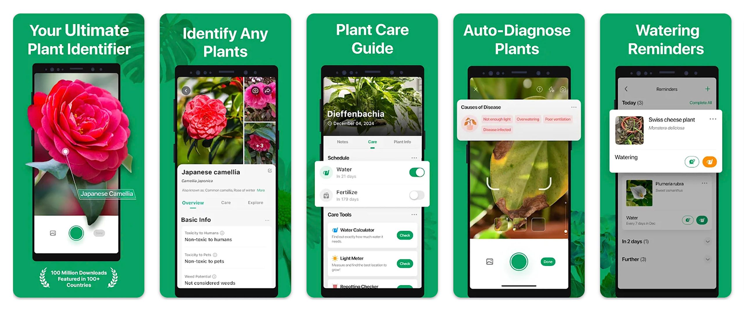 várias telas do aplicativo Picture This