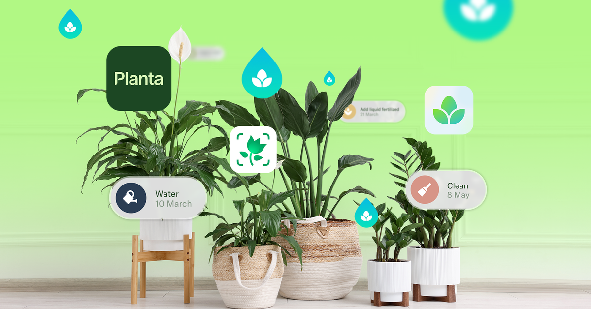 I thought I was a 'hopeless' plant killer, then I used these 3 Android apps
