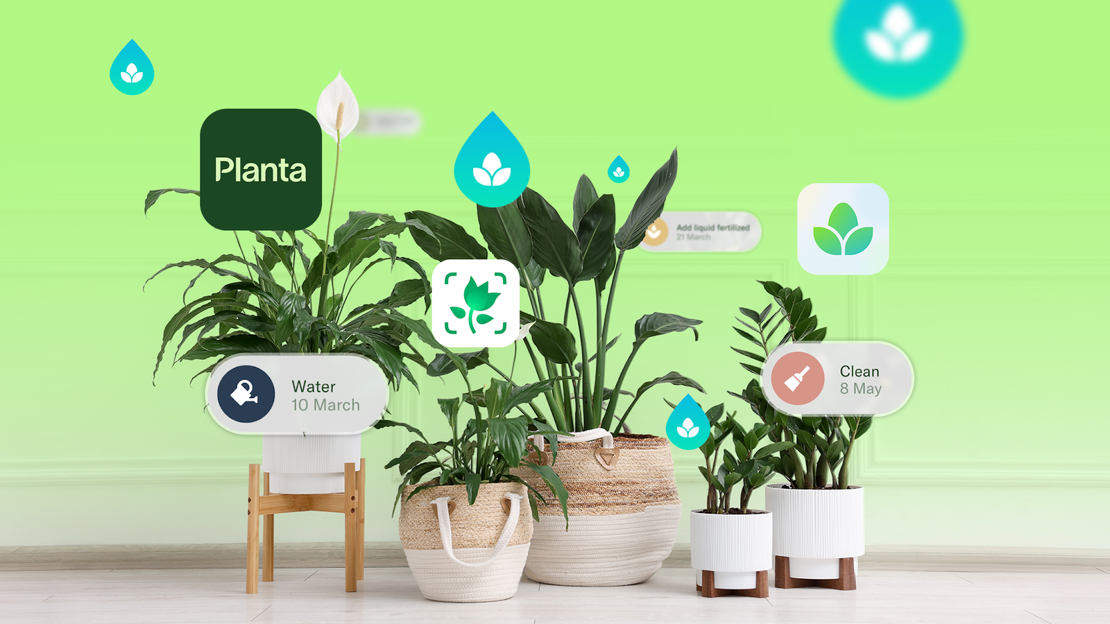 I thought I was a 'hopeless' plant killer, then I used these 3 Android apps