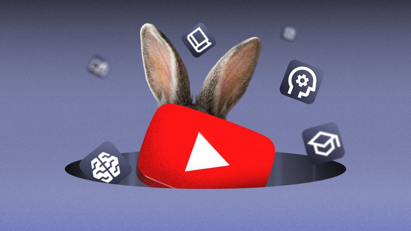 Yut Rabbit The trick to turning a YouTube rabbit hole into an actual education