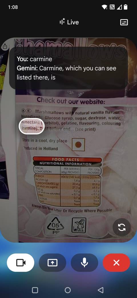 Screenshot showing Gemini Live explaining a label