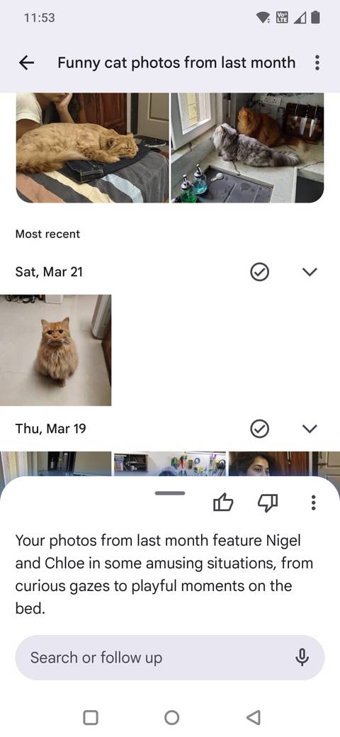 Screenshot showing the Ask feature in Google Photos
