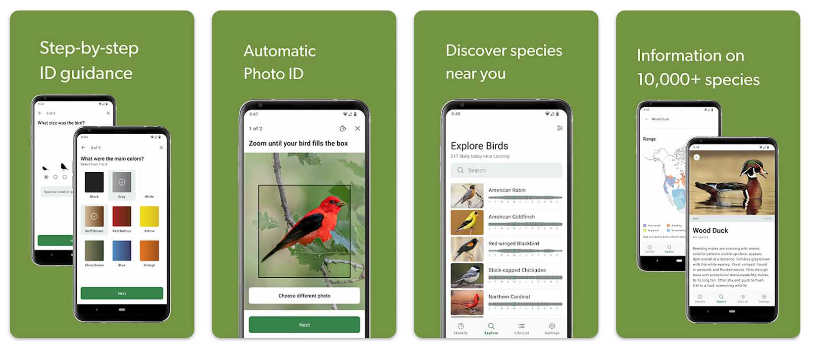 várias telas do aplicativo Merlin Bird ID
