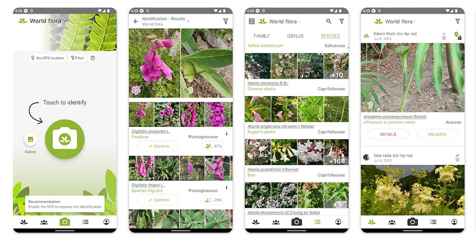 diversas telas do aplicativo PlantNet