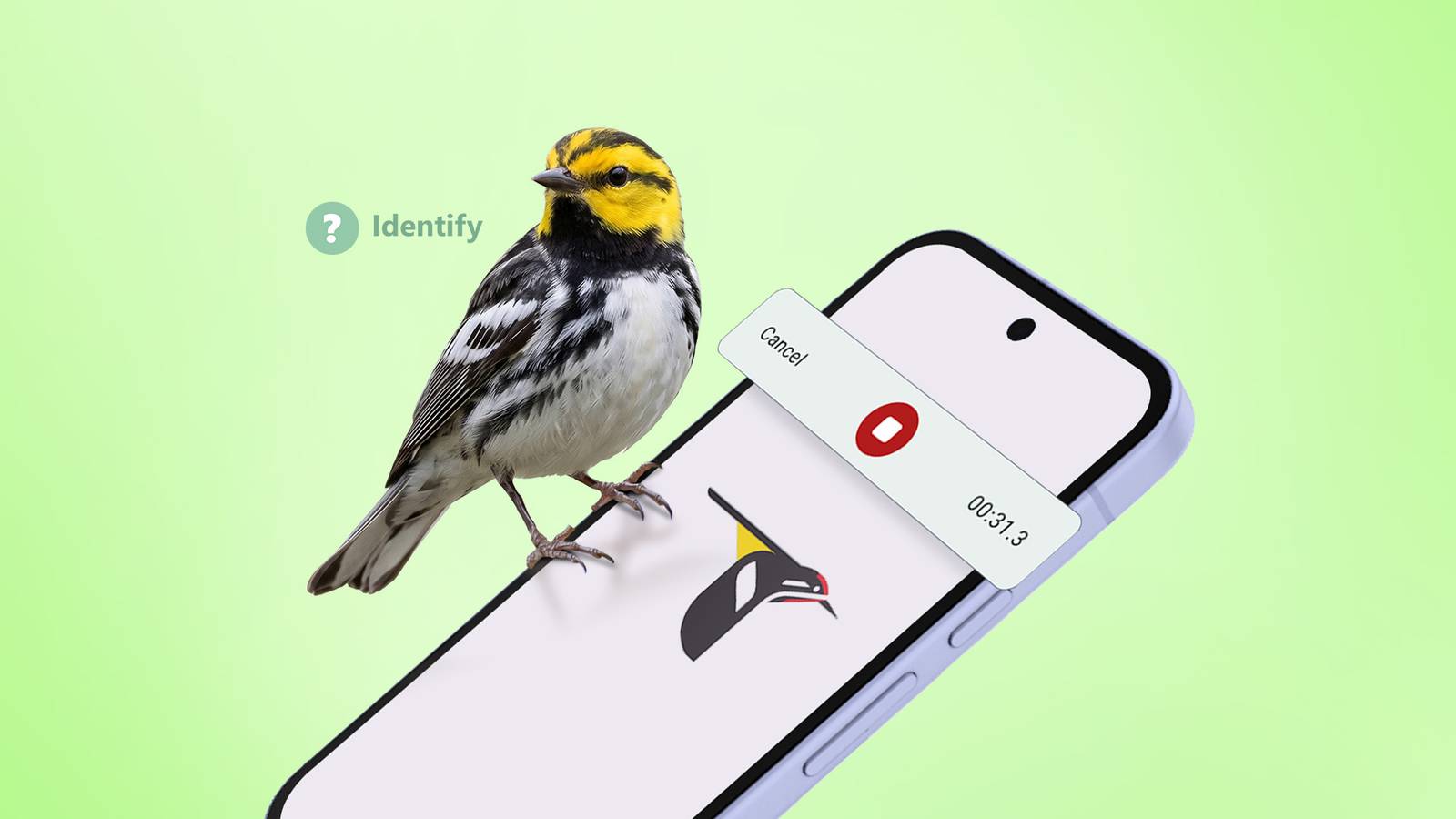 Merlin Bird ID: Turning Screen Time into Nature Time – Archyde