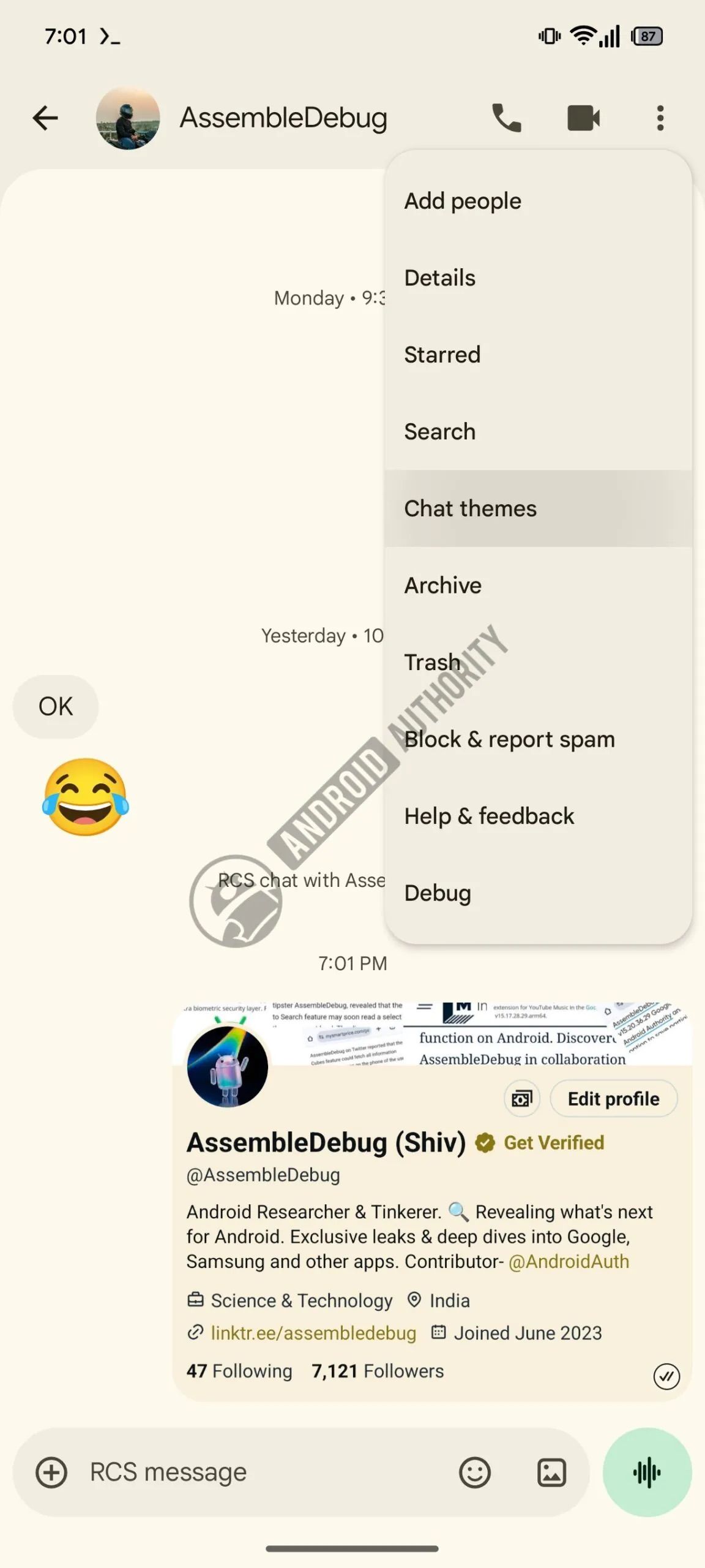 Google Messages is finally getting the chat customization feature ...