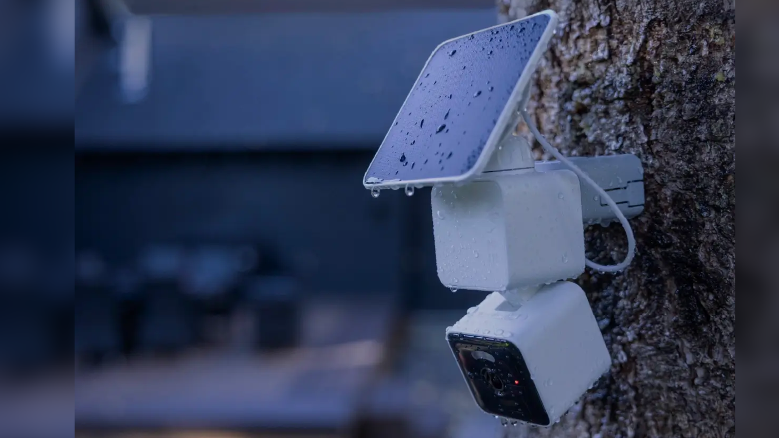 Wyze recalls over 320,000 solar cameras due to fire and burn risks ...