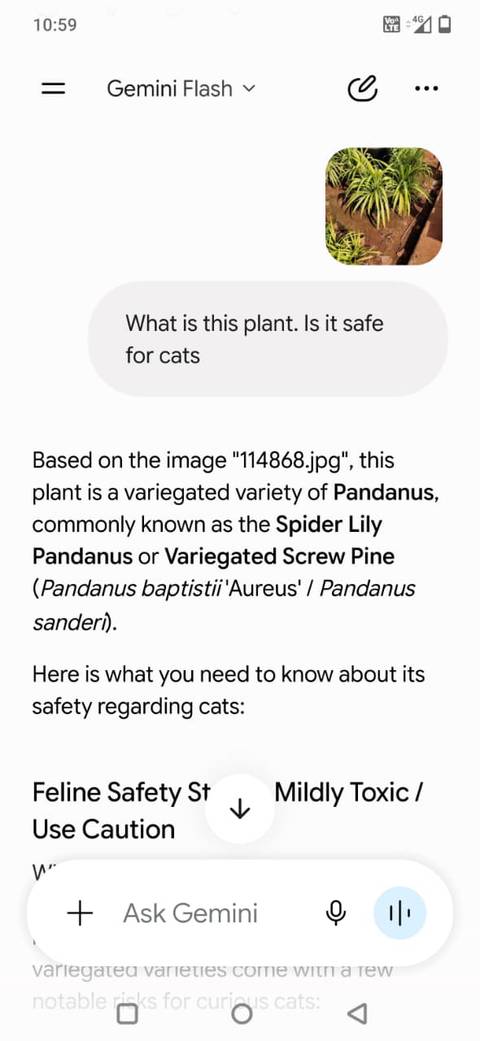 Screenshot showing Gemini analyzing an image