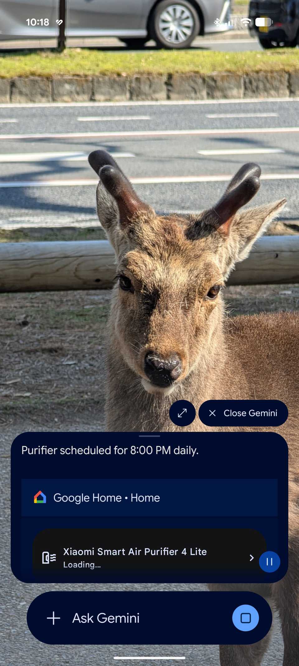 Gemini on lock screen controlling smart home purifier