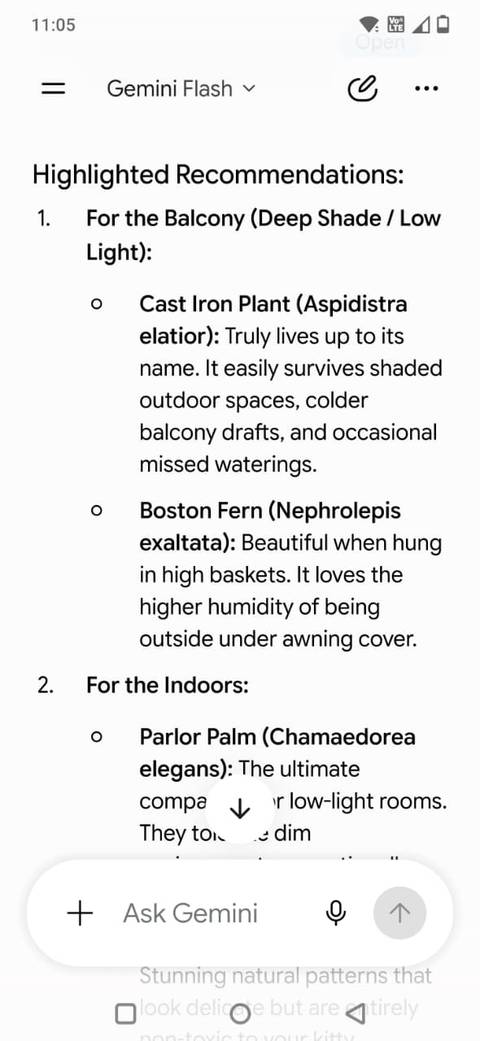 Screenshot of plant recommendations in the Gemini app