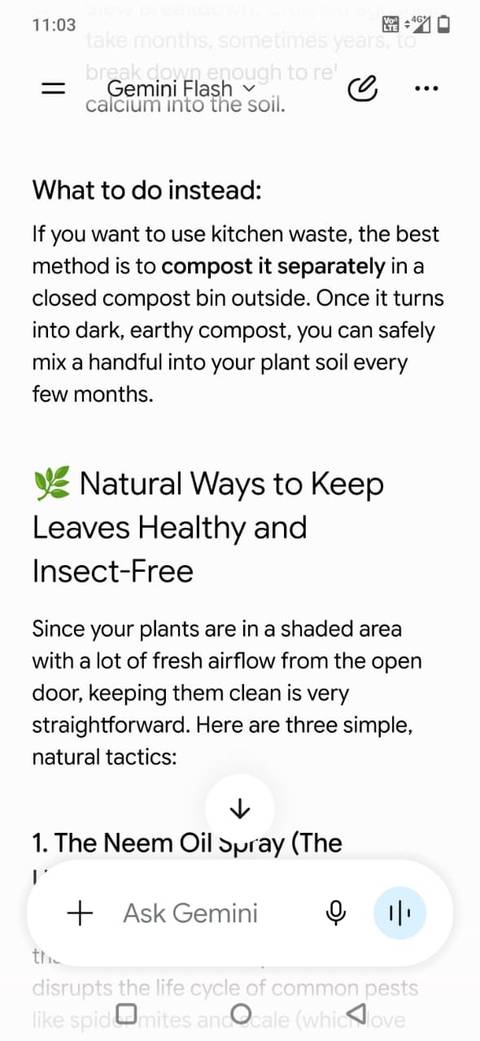Screenshot showing plant care instructions in Gemini