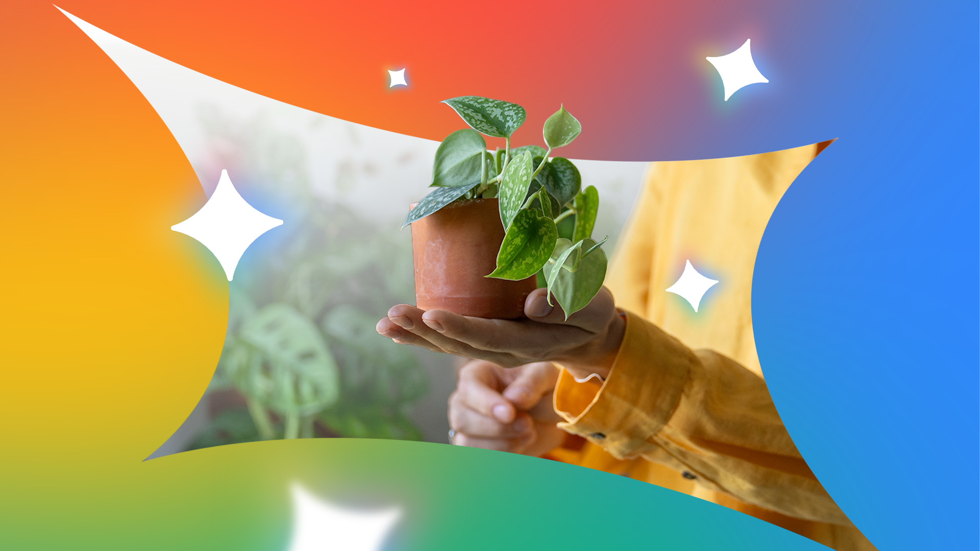 Gemini helped a writer start a houseplant hobby