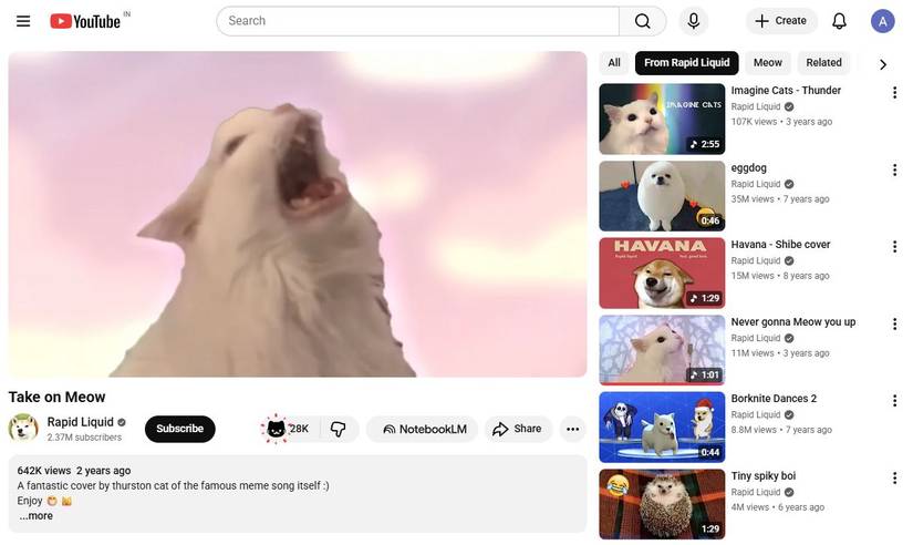 Captura de tela mostrando a animação semelhante no YouTube