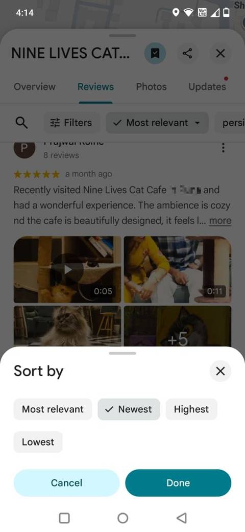 Screenshot showing the newest reviews in Google Maps
