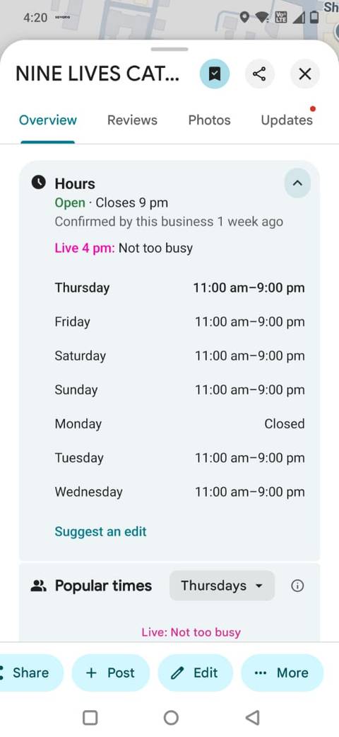 Screenshot showing open hours in Google Maps