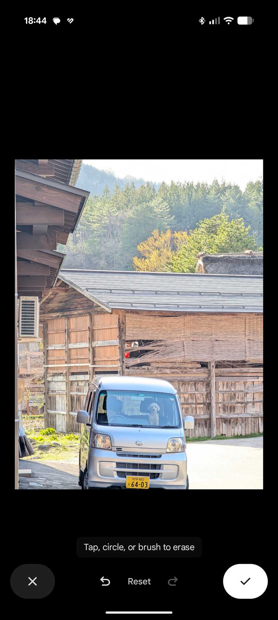 An edited image in Google Photos where the people in the background were scrubbed of using Magic Eraser