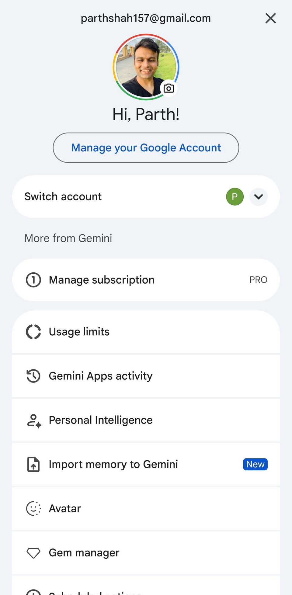 A screenshot showing Gemini settings