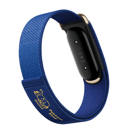 Google Fitbit Air