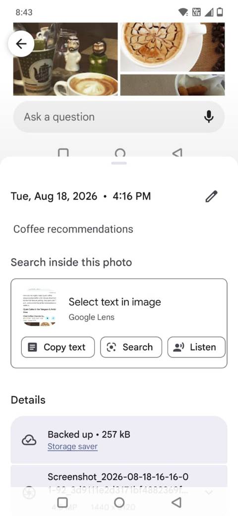 Screenshot che mostra la didascalia in Google Foto