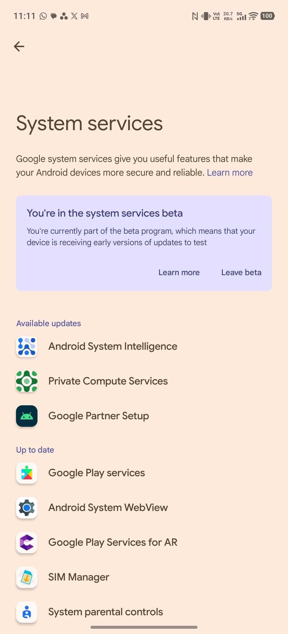 Hidden System Services Update page in Android