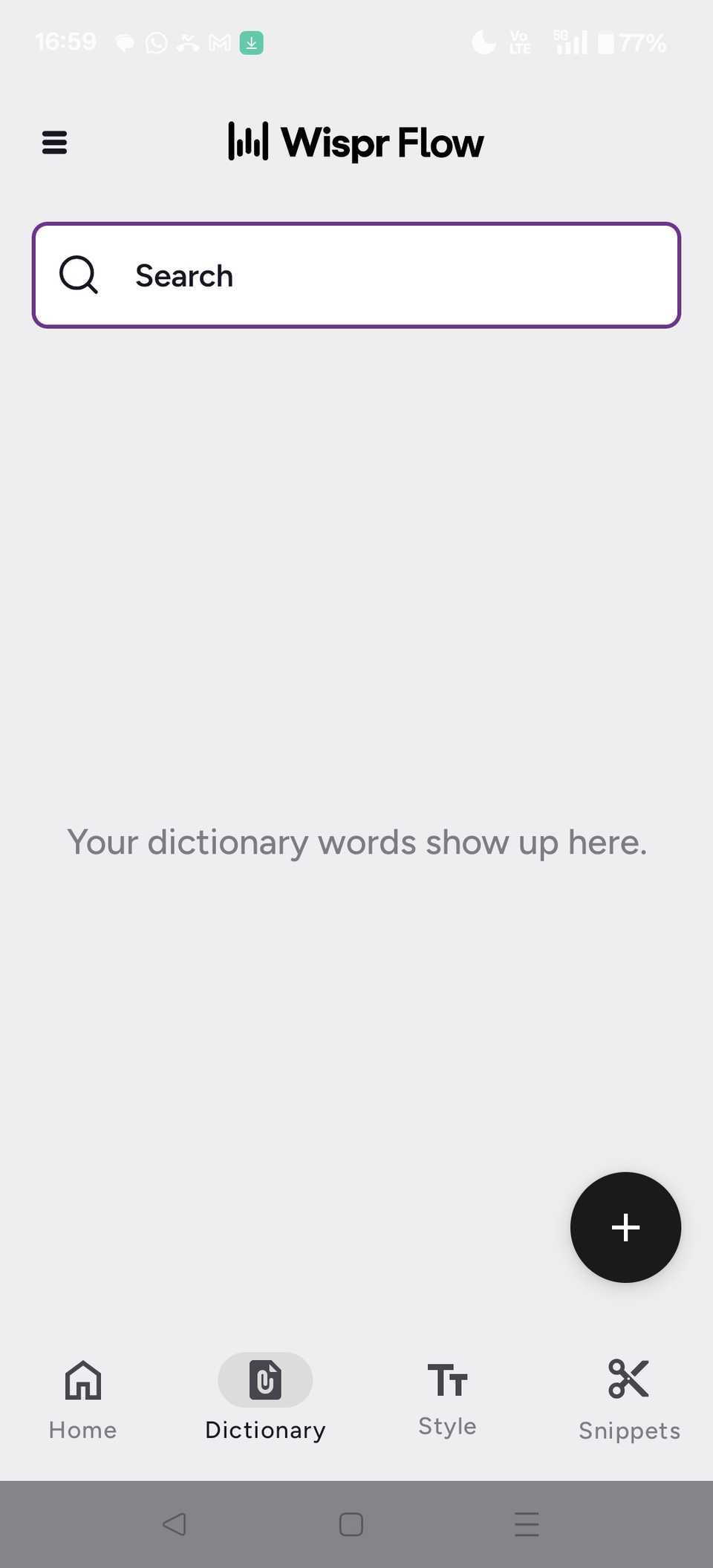 Screenshot che mostra la scheda «Dizionario» nell’app Wispr Flow