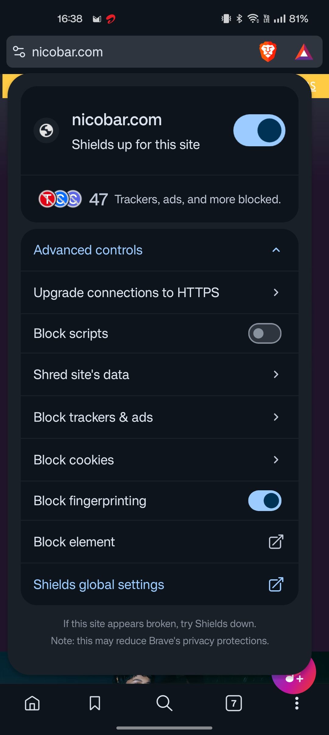 Brave dynamic shield screenshot showing advance controls options