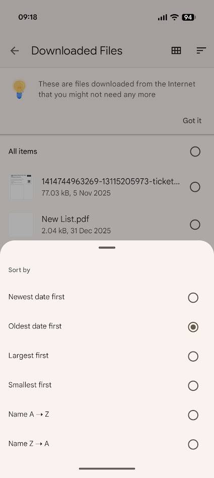 files-by-google-delete-downloaded-files-2