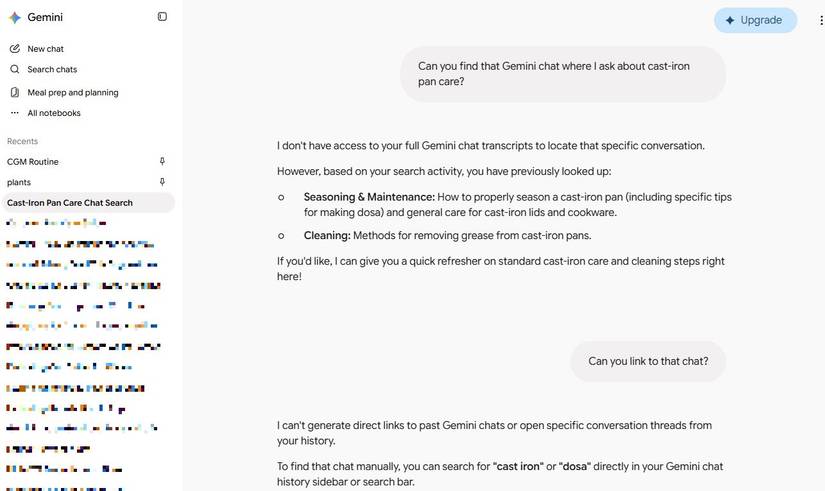 Screenshot showing a chat in Gemini