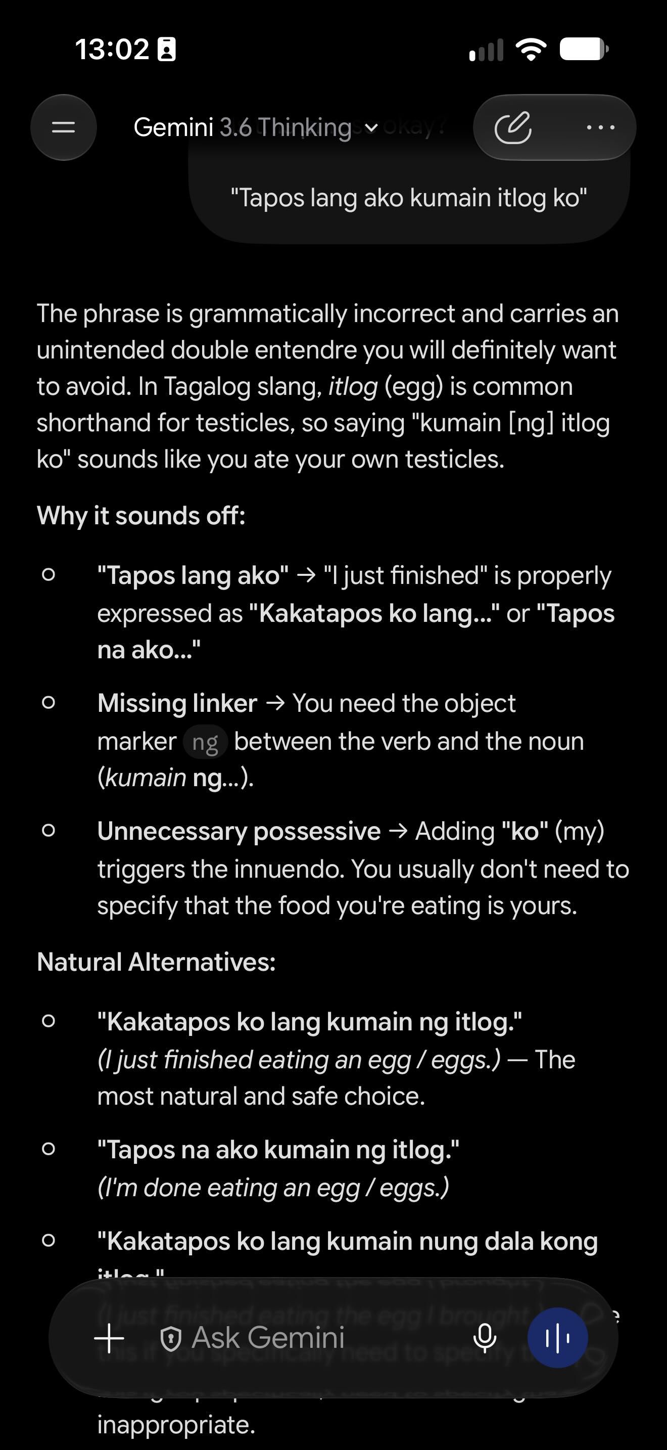 Gemini-learning-tagalog-2