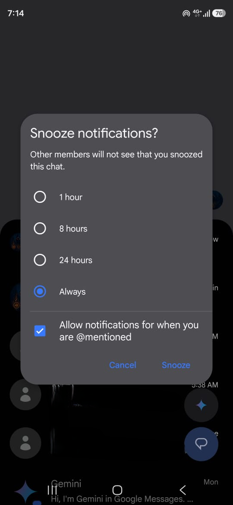 функции Google Messages — иллюстрация 11 к материалу