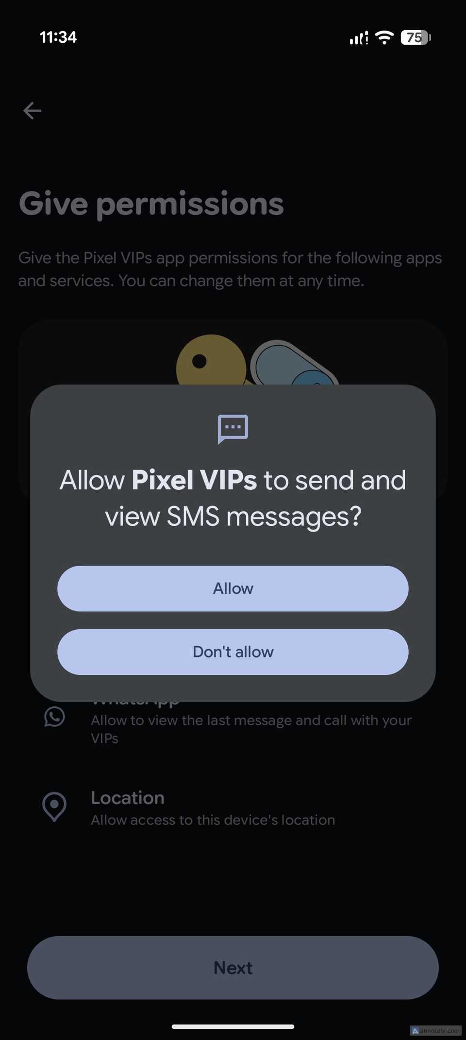 A prompt asking whether to allow Pixel VIPs to send and view SMS messages.