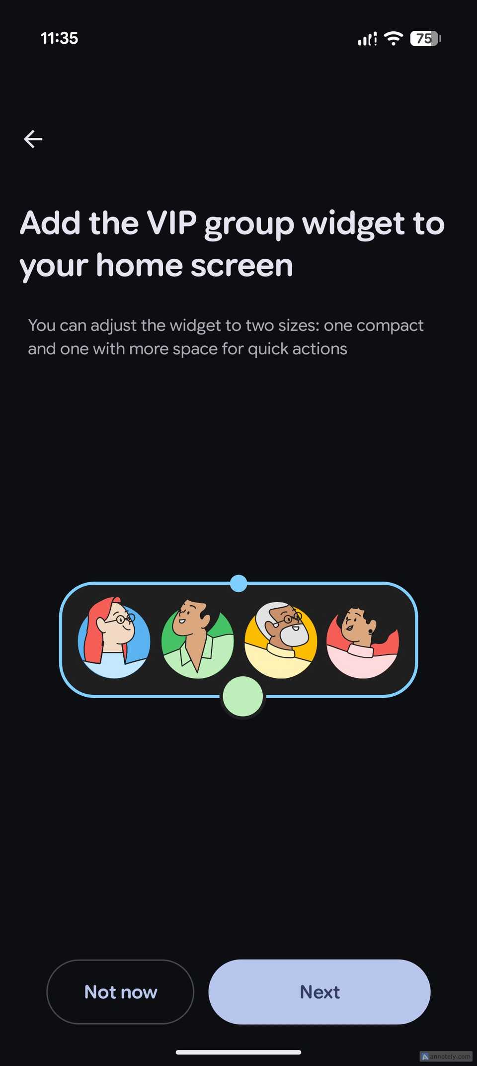 The final setup step inviting you to add the Pixel VIPs group widget to your home screen, with a resizable widget preview.