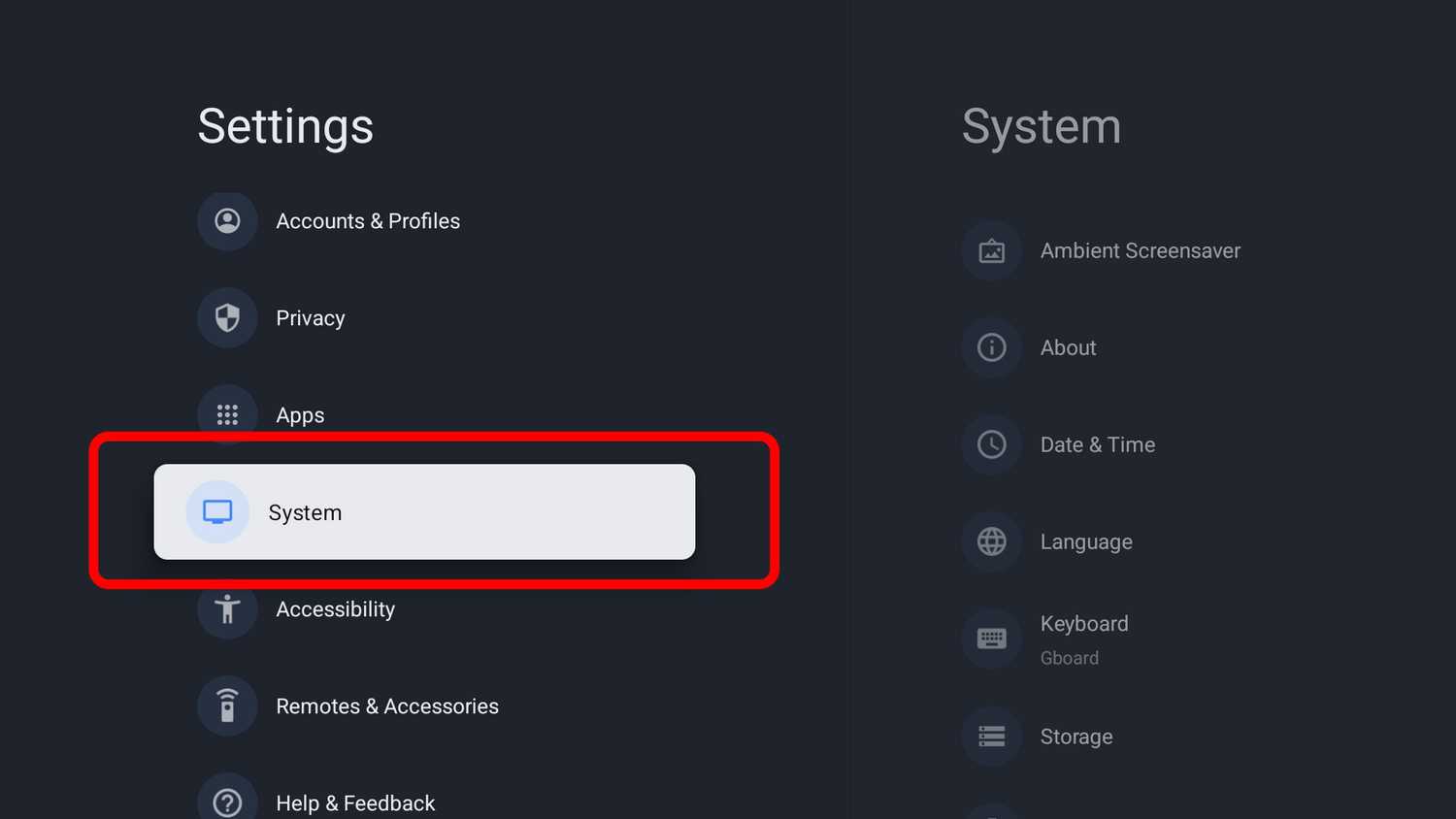 Google TV System