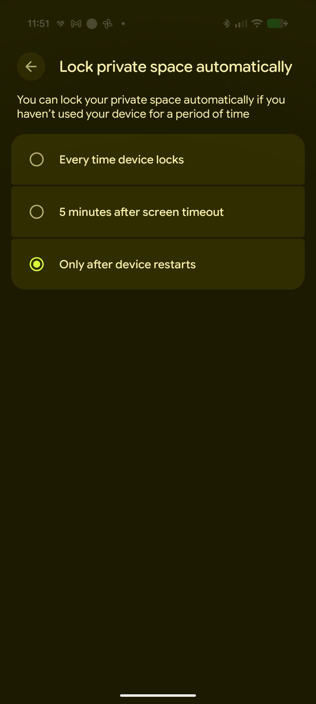 Customizing lock on Private Space