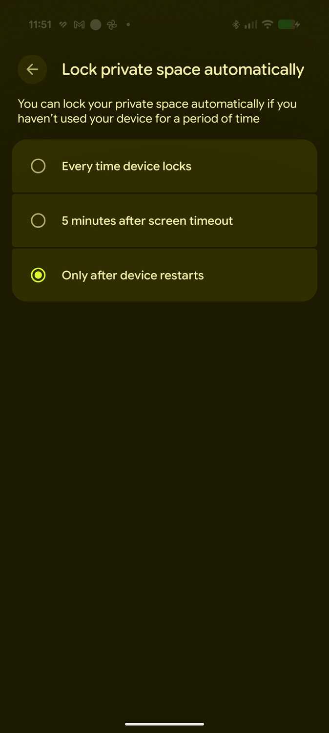 Customizing lock on Private Space