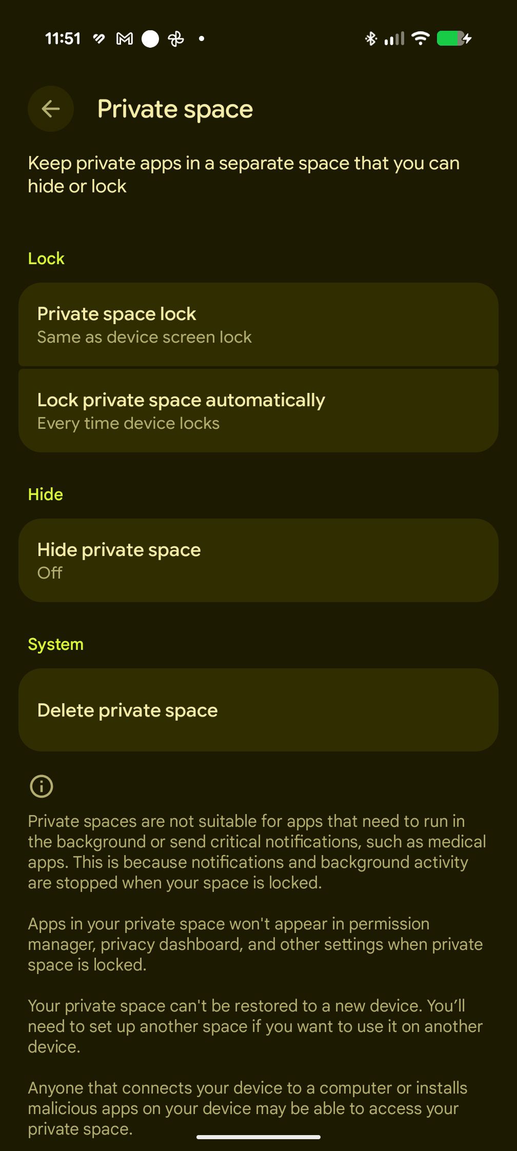Private Space settings