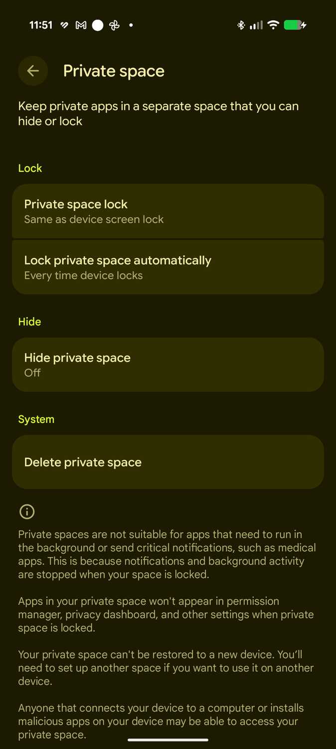 Private Space settings