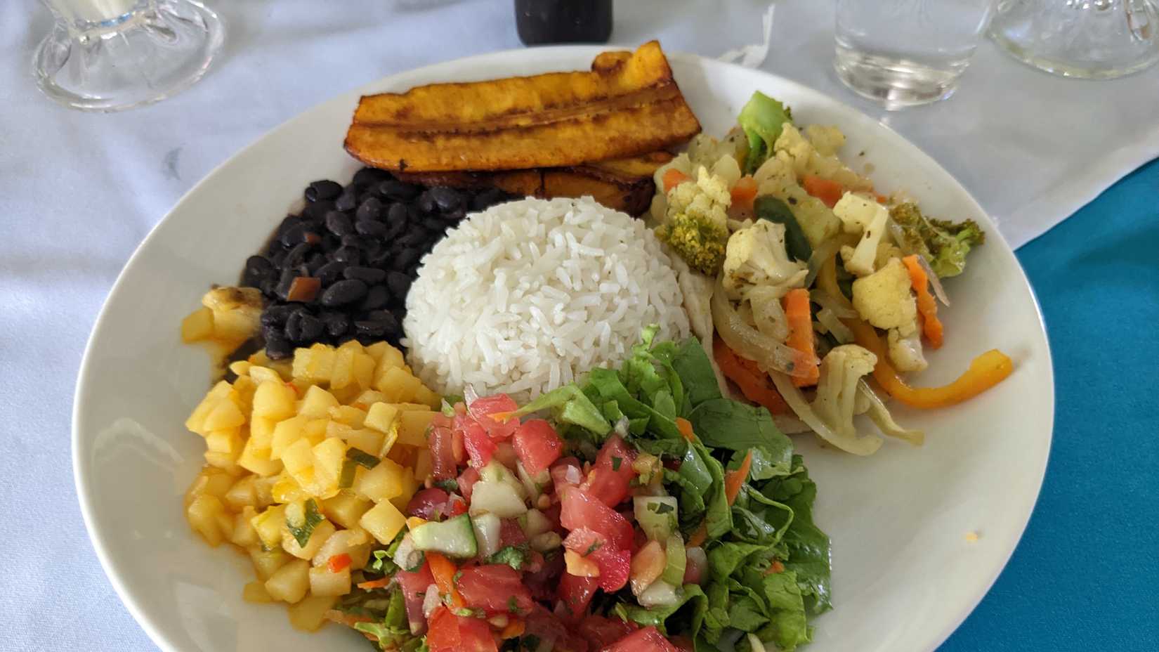 a Vegetarian cooked meals from an international restaurant
