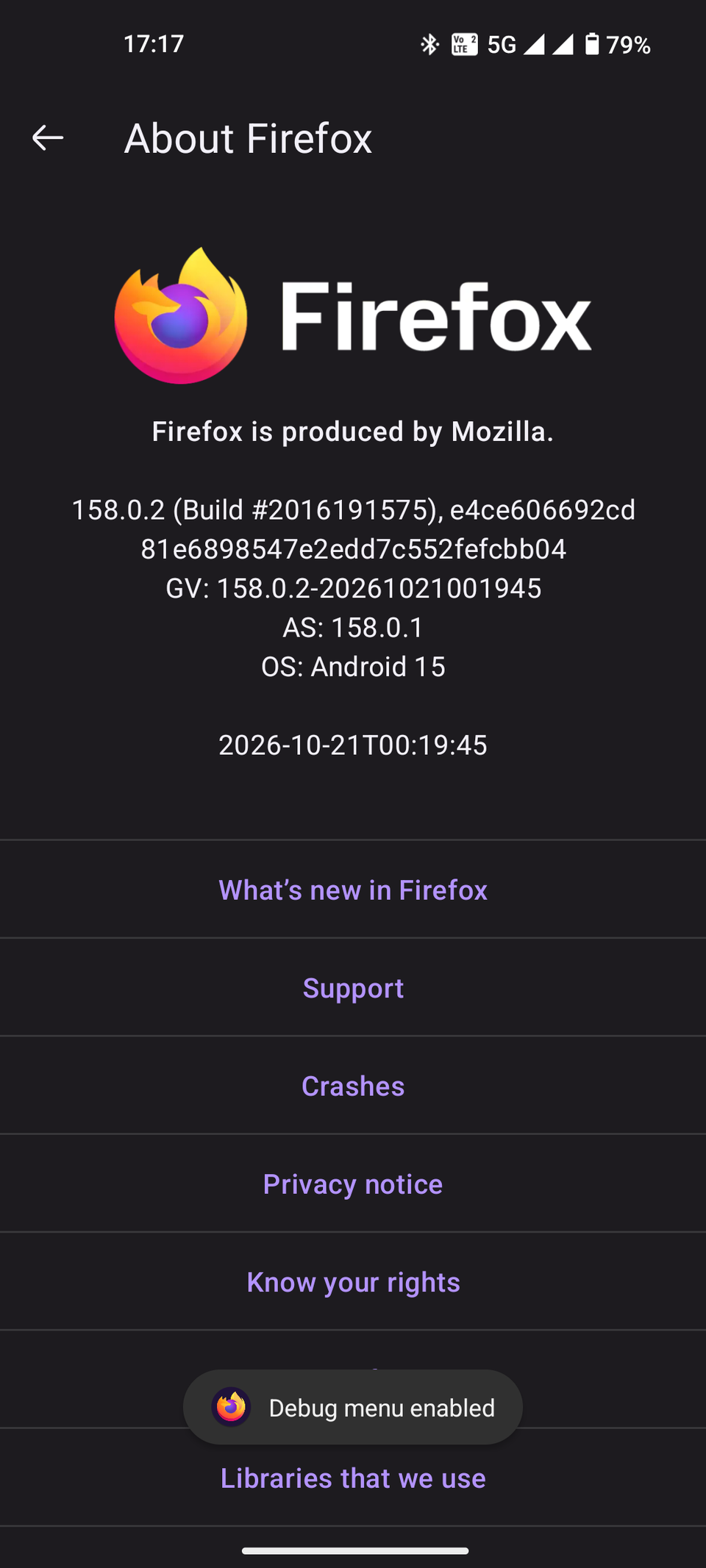Interfaccia del menu delle opzioni delle impostazioni segrete di Firefox (1)