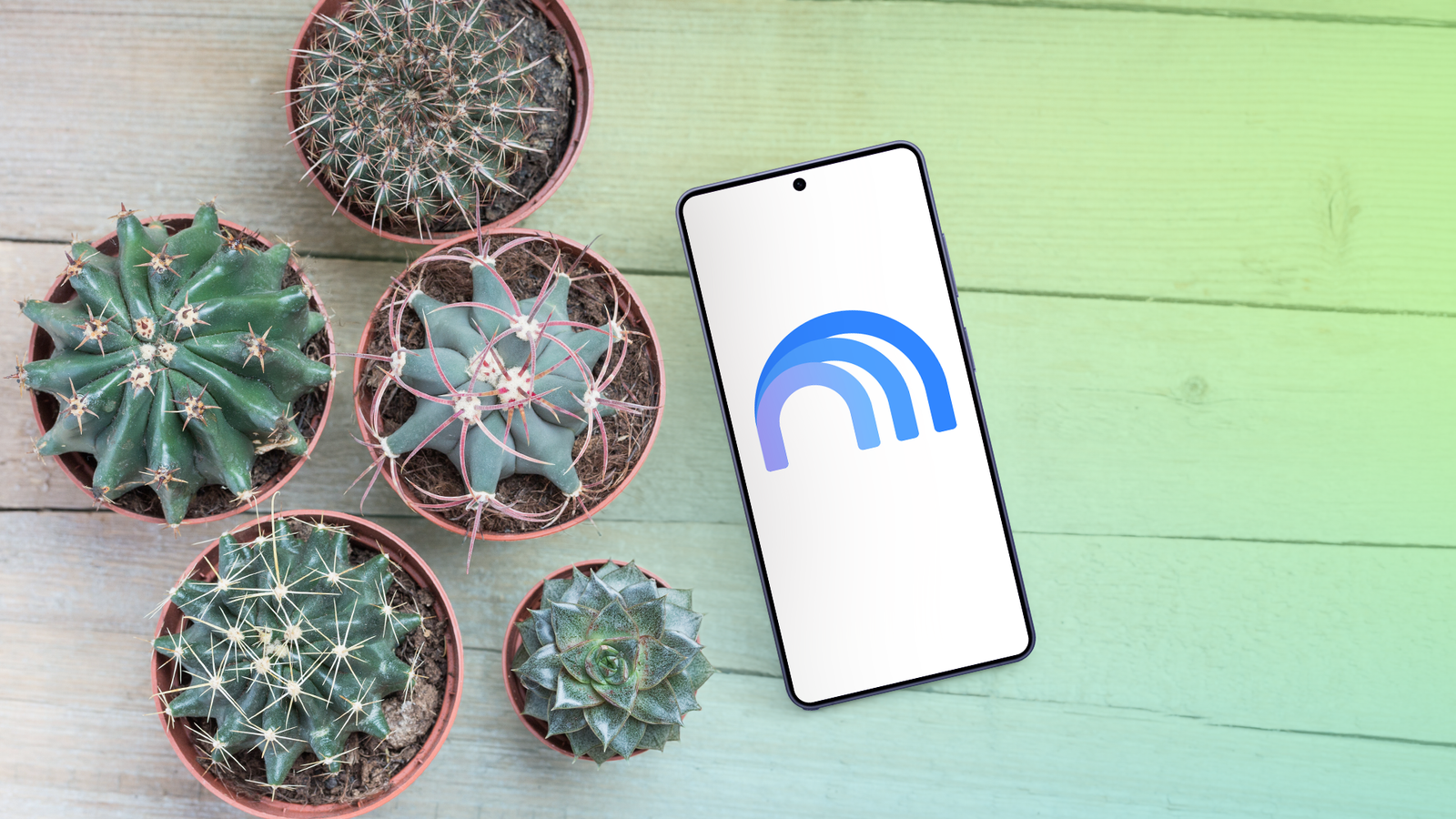Gemini Notebook shown beside several potted plants.