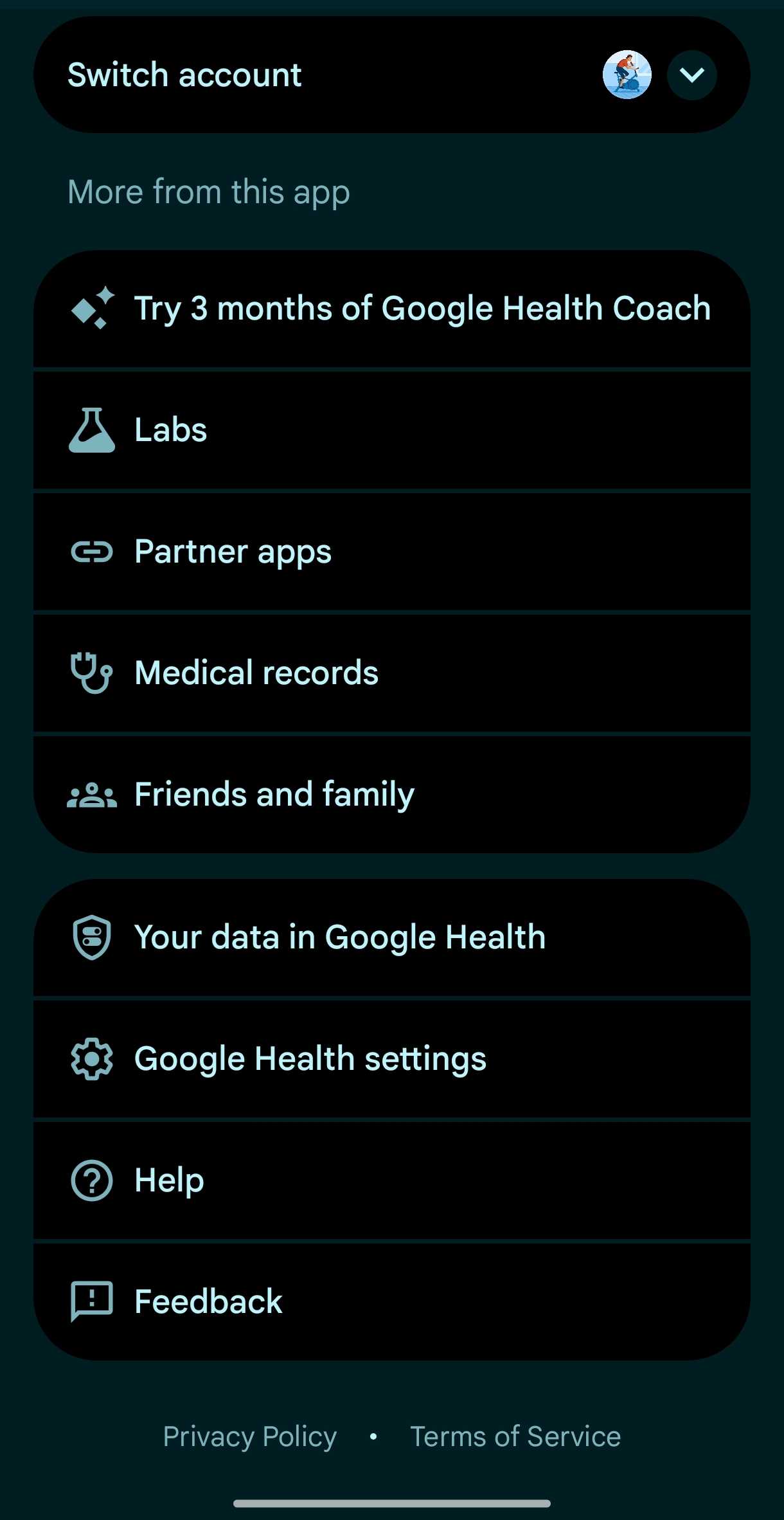 Google Health settings menu showing different options