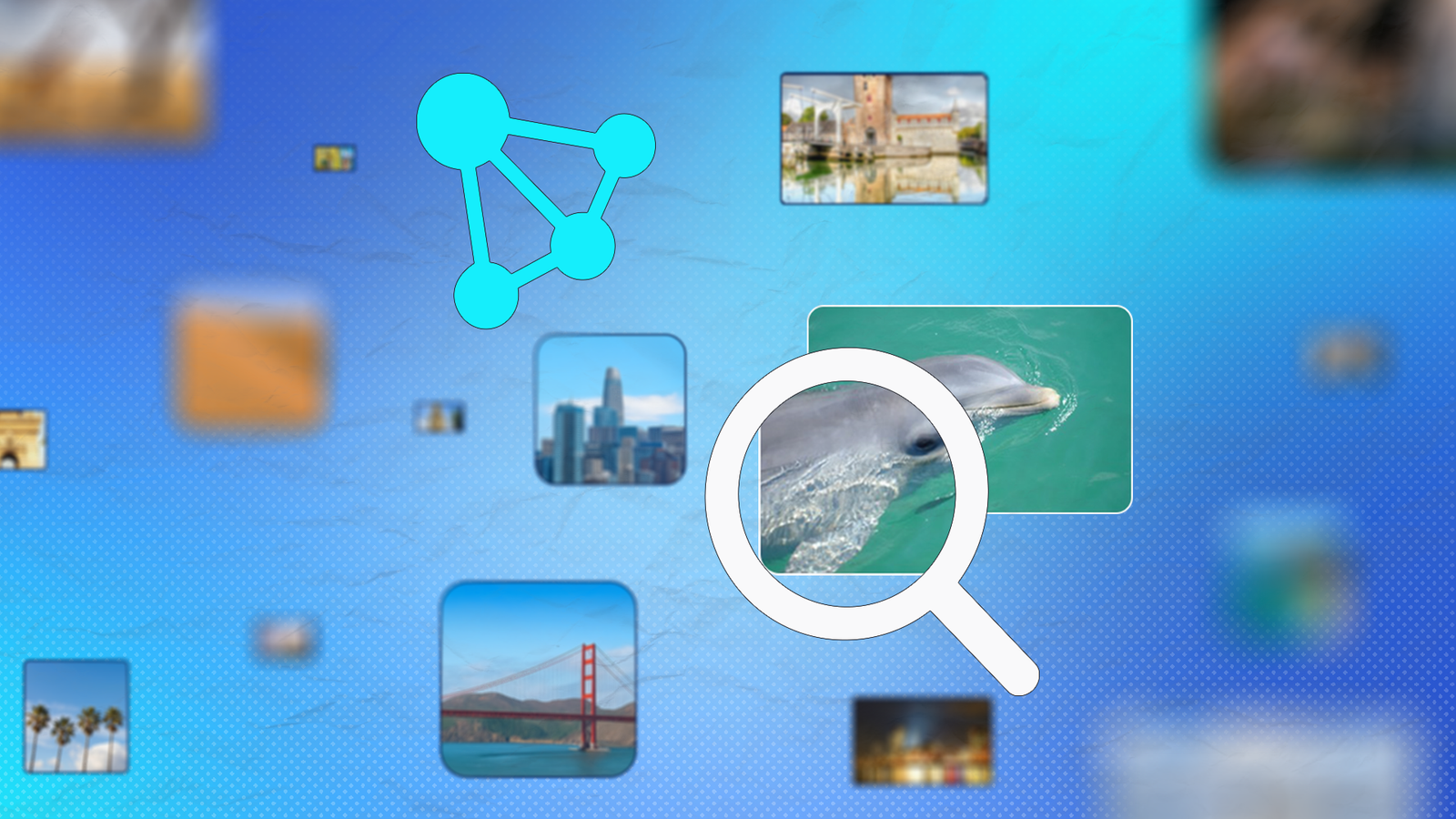 Memoria app logo with a magnifying glass highlighting a dolphin photo among floating images on a blue background.