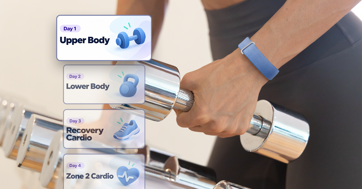 androidpolice.com - Akshay Bhalla - Gemini turned my Fitbit Air stats into a 7-day workout plan that actually fits