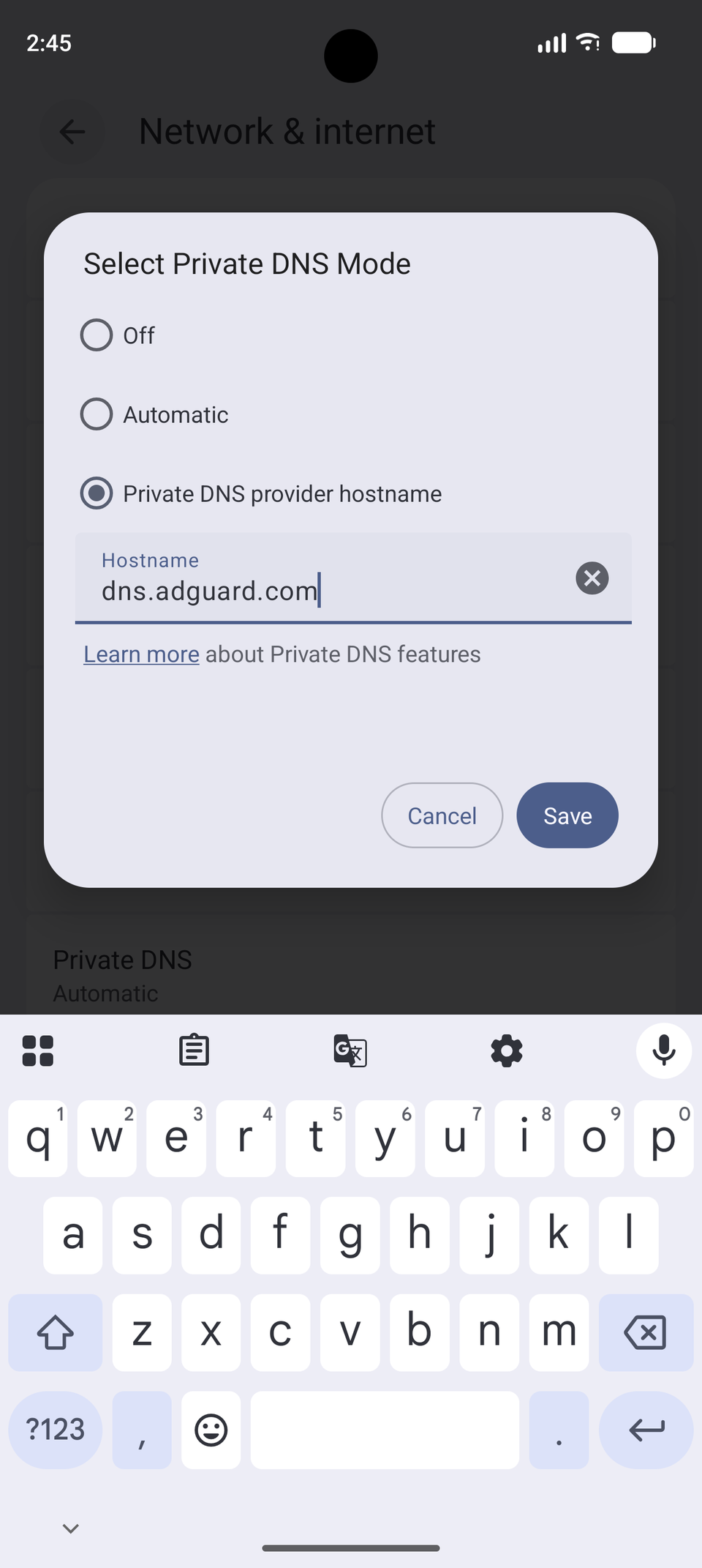 Pixel private dns setting