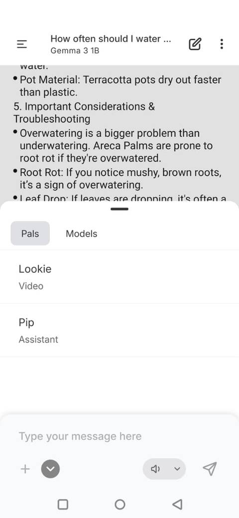 Screenshot showing the Pal option in PocketPal AI