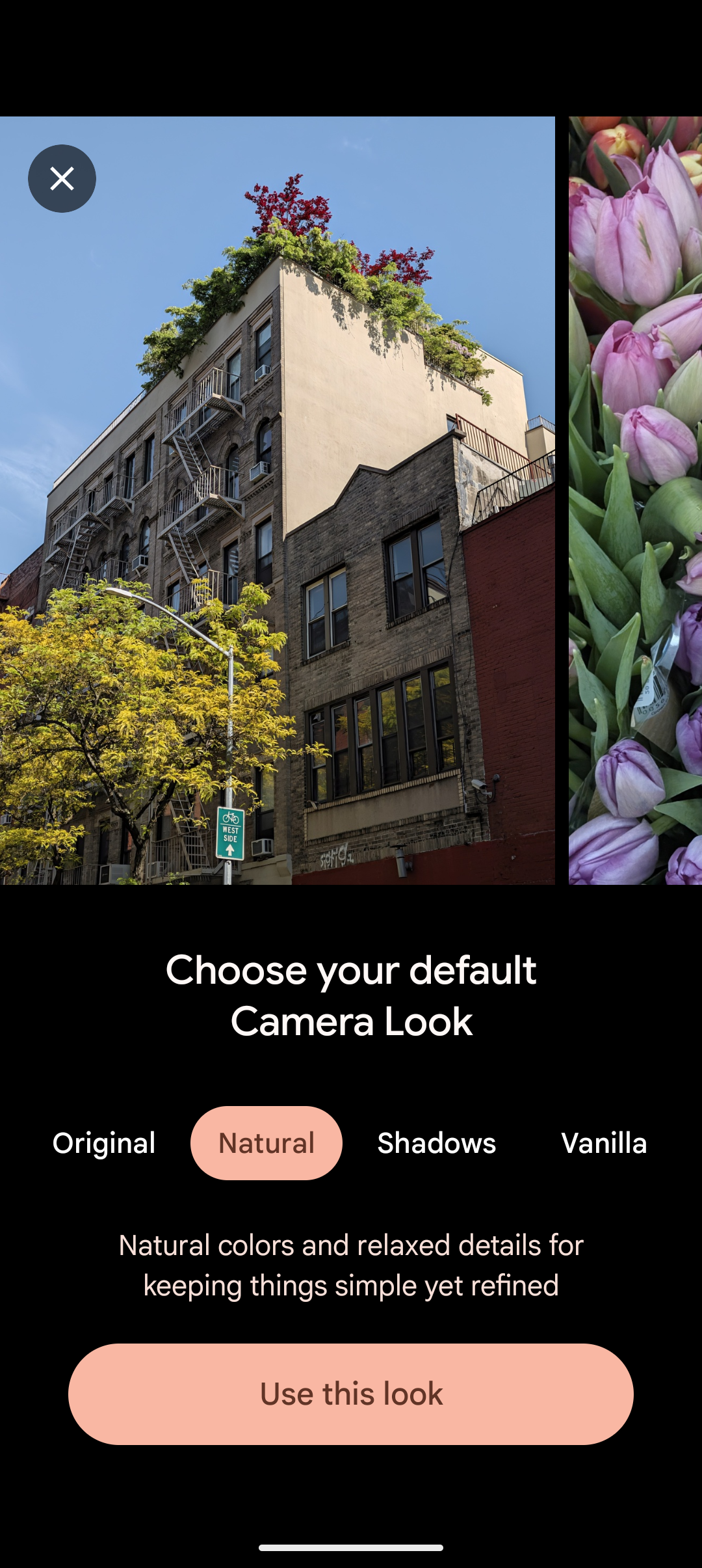 Screenshot of the Pixel Camera explainer for the Natural Camera Look