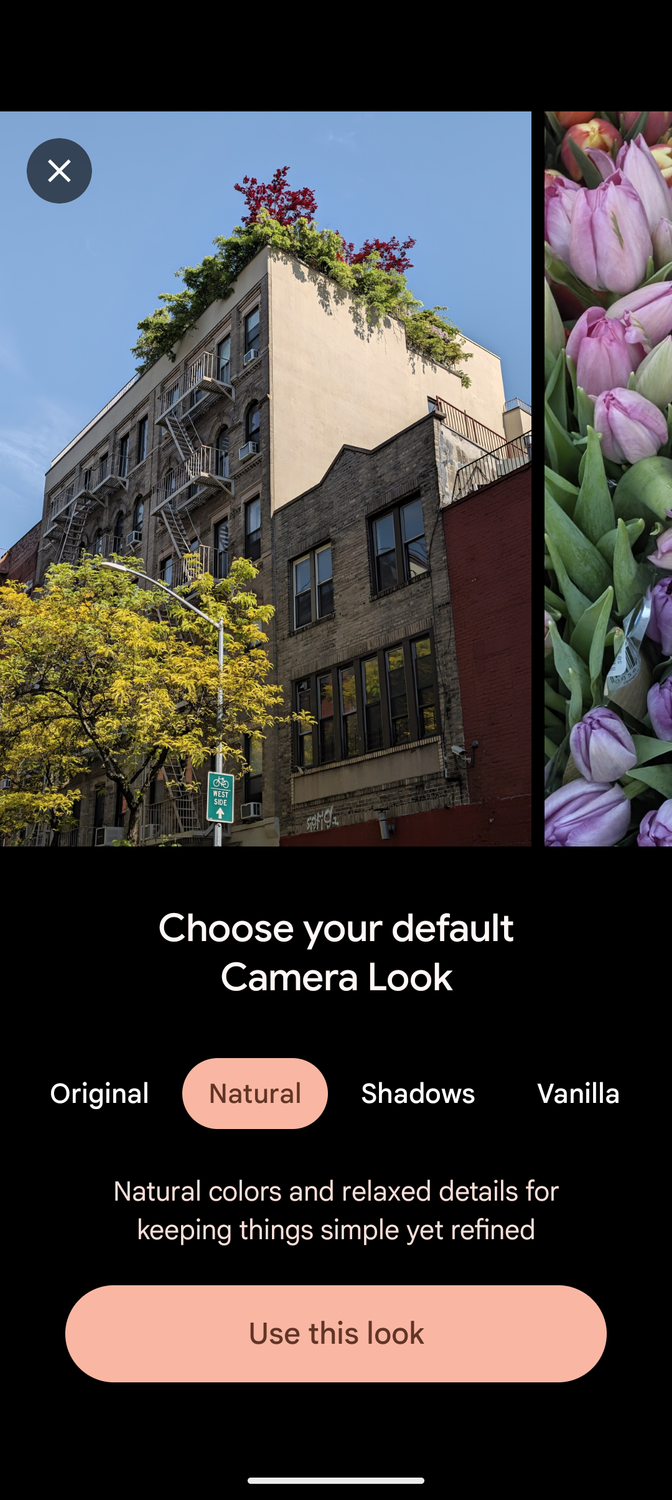 Screenshot of the Pixel Camera explainer for the Natural Camera Look