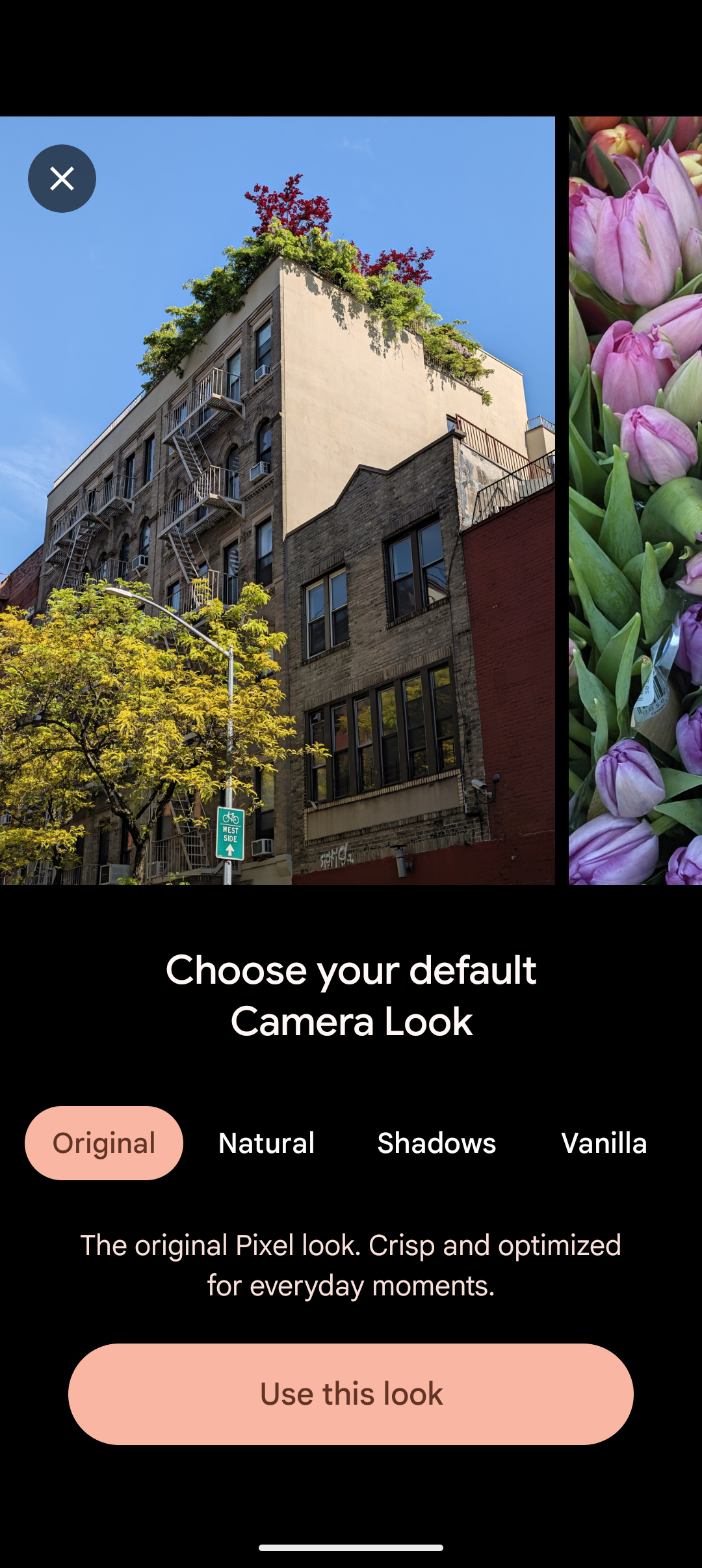 Screenshot of the Pixel Camera explainer for the Original Camera Look